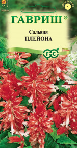 Семена Сальвия Плейона, 4шт, Гавриш, Цветочная коллекция