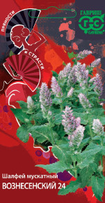 Семена Шалфей Мускатный Вознесенский 24, 0,3г, Гавриш, Пряности и страсти Семена Шалфей Мускатный Вознесенский 24, 0,3г, Гавриш, Пряности и страсти