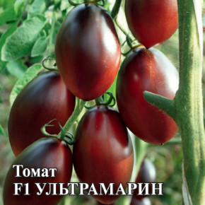 Семена Томат Ультрамарин F1, 100шт, Гавриш, Фермерское подворье Семена Томат Ультрамарин F1, 100шт, Гавриш, Фермерское подворье