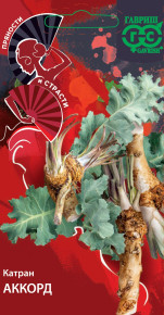 Семена Катран (хрен татарский) Аккорд, 0,5г, Гавриш, Пряности и страсти Семена Катран (хрен татарский) Аккорд, 0,5г, Гавриш, Пряности и страсти