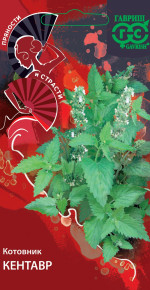 Семена Котовник Кентавр, 0,1г, Гавриш, Пряности и страсти Семена Котовник Кентавр, 0,1г, Гавриш, Пряности и страсти