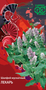Семена Шалфей мускатный Лекарь, 0,3г, Гавриш, Пряности и страсти Семена Шалфей мускатный Лекарь, 0,3г, Гавриш, Пряности и страсти